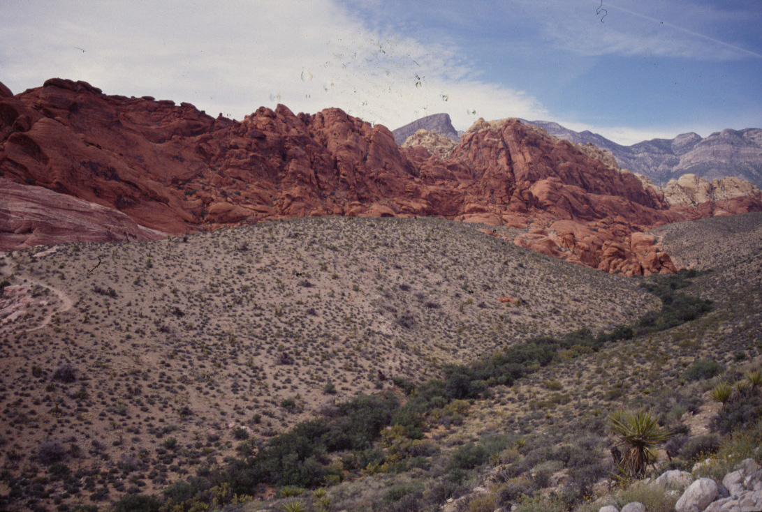 Red rock canyon